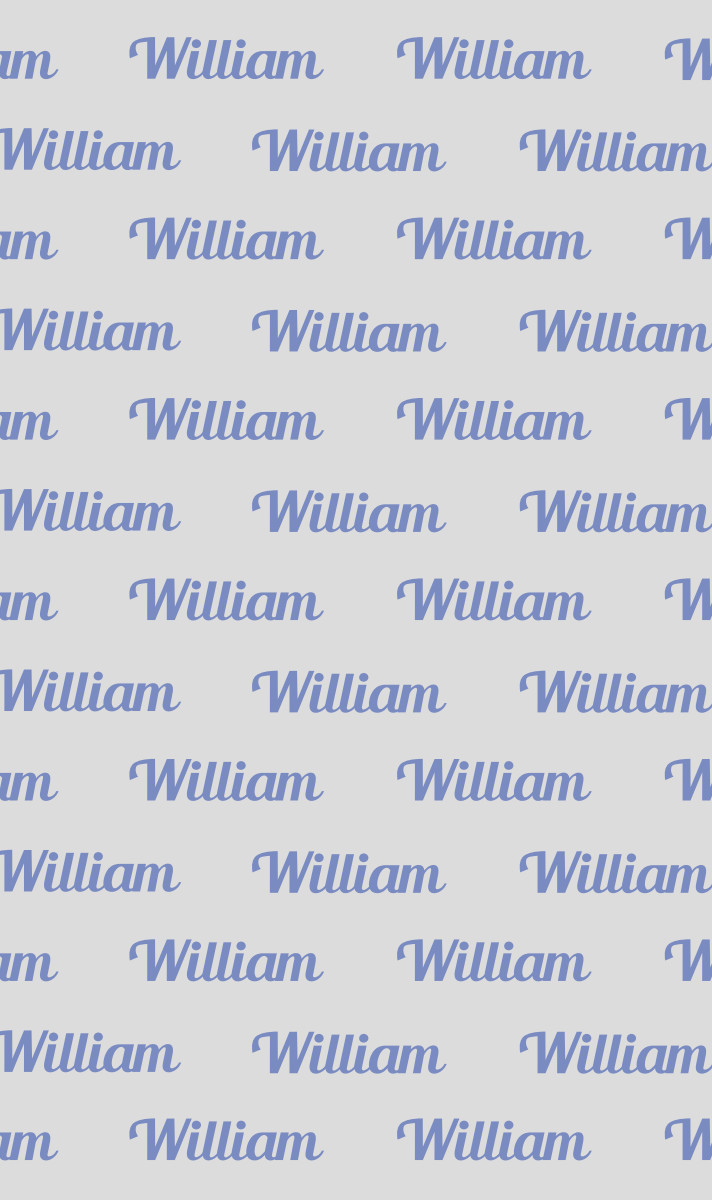 William Cot Blanket - Fog/Seamist Perfect Condition