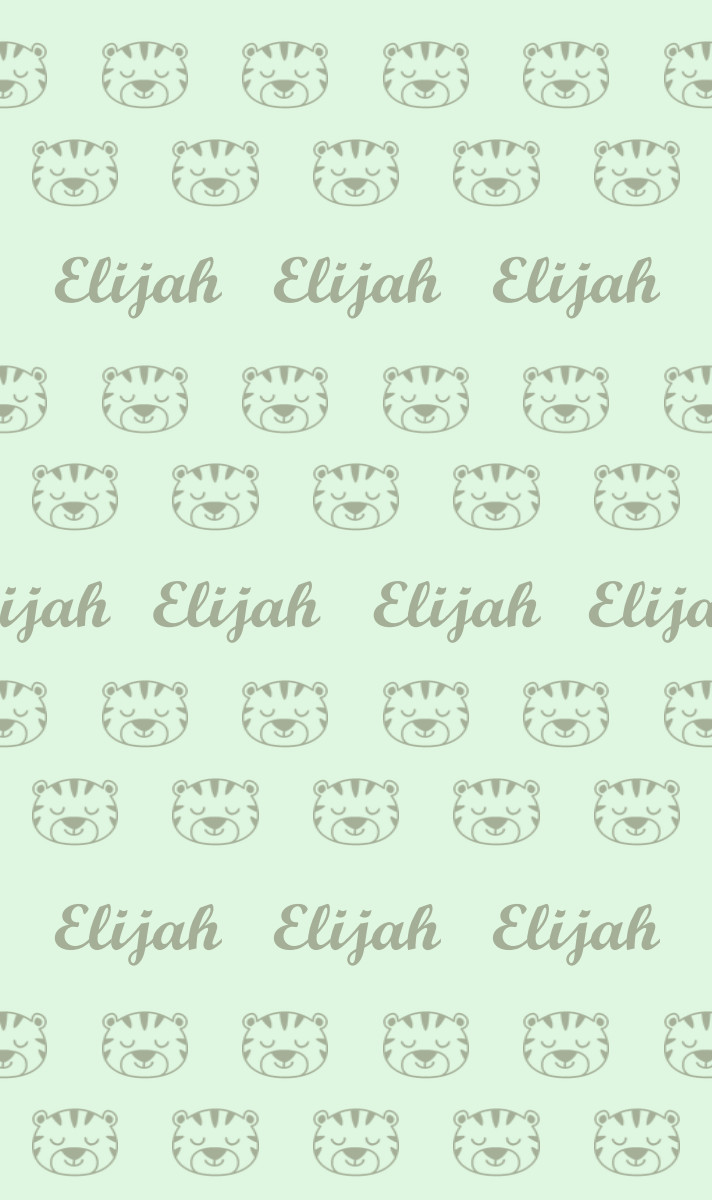 Elijah Cot Blanket - Mint/Sage Perfect Condition