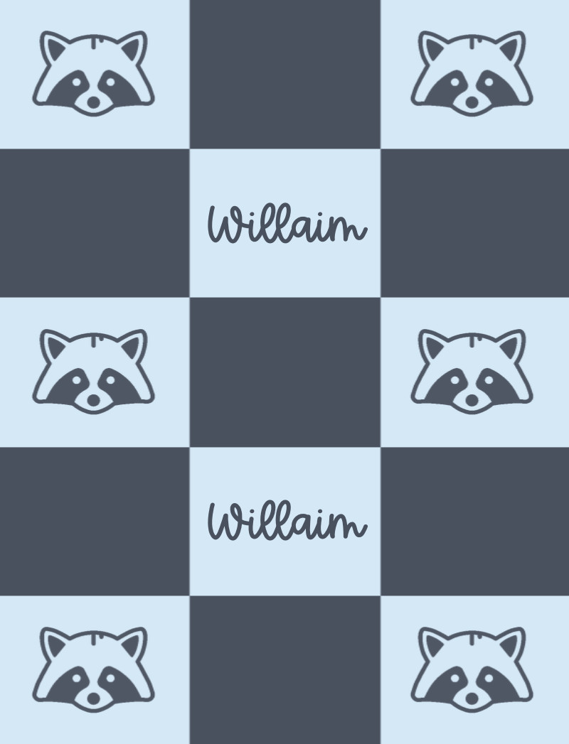 William Bassinet Blanket - Ice-Blue/Steel Perfect Condition