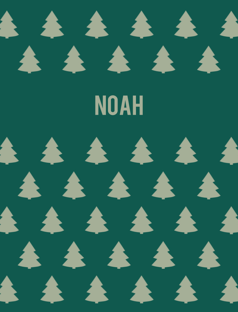 Noah Bassinet Blanket - Forest Green/Sage