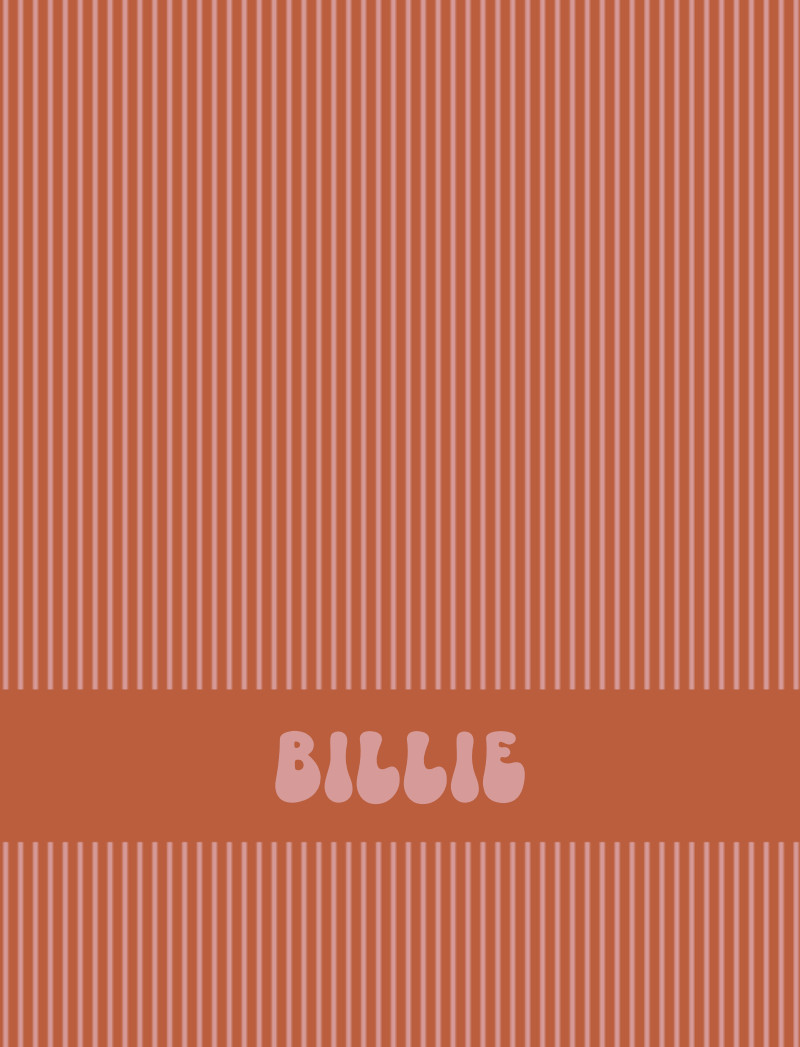 Billie Bassinet Blanket - Rust/Blush Perfect Condition
