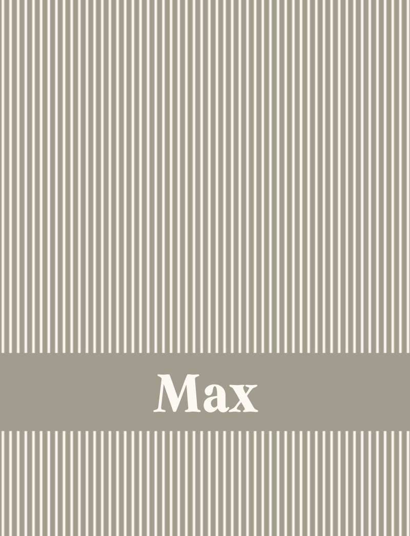 Max Bassinet Blanket - Beige/Eggshell Perfect Condition