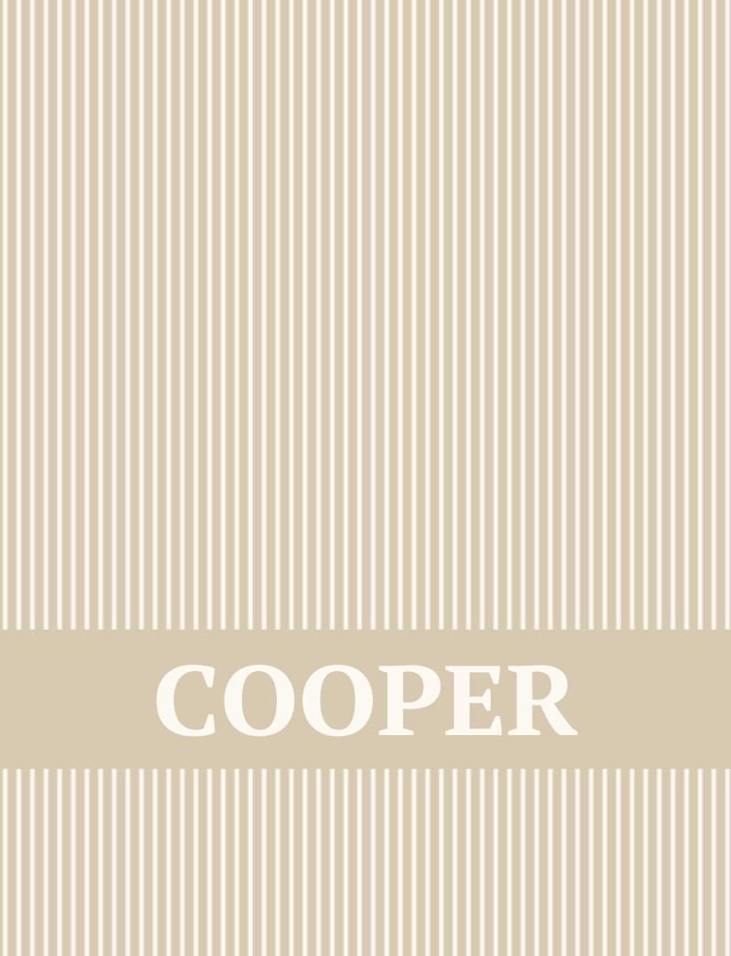 Cooper Bassinet Blanket - Oat/Eggshell Perfect Condition