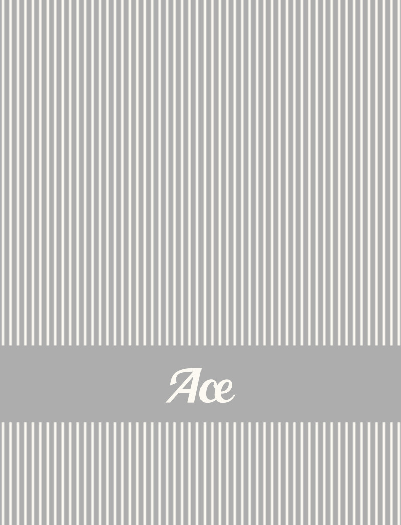 Ace Bassinet Blanket - Pewter/Eggshell Perfect Condition