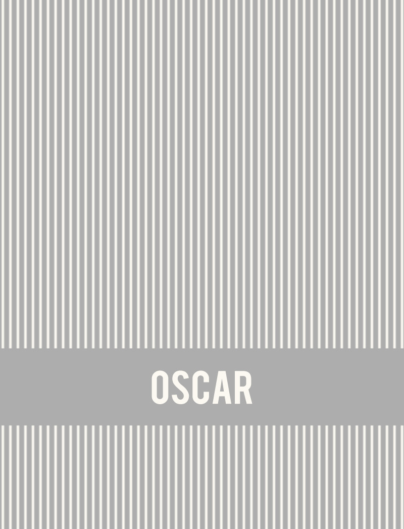 Oscar Bassinet Blanket - Pewter/Eggshell Perfect Condition