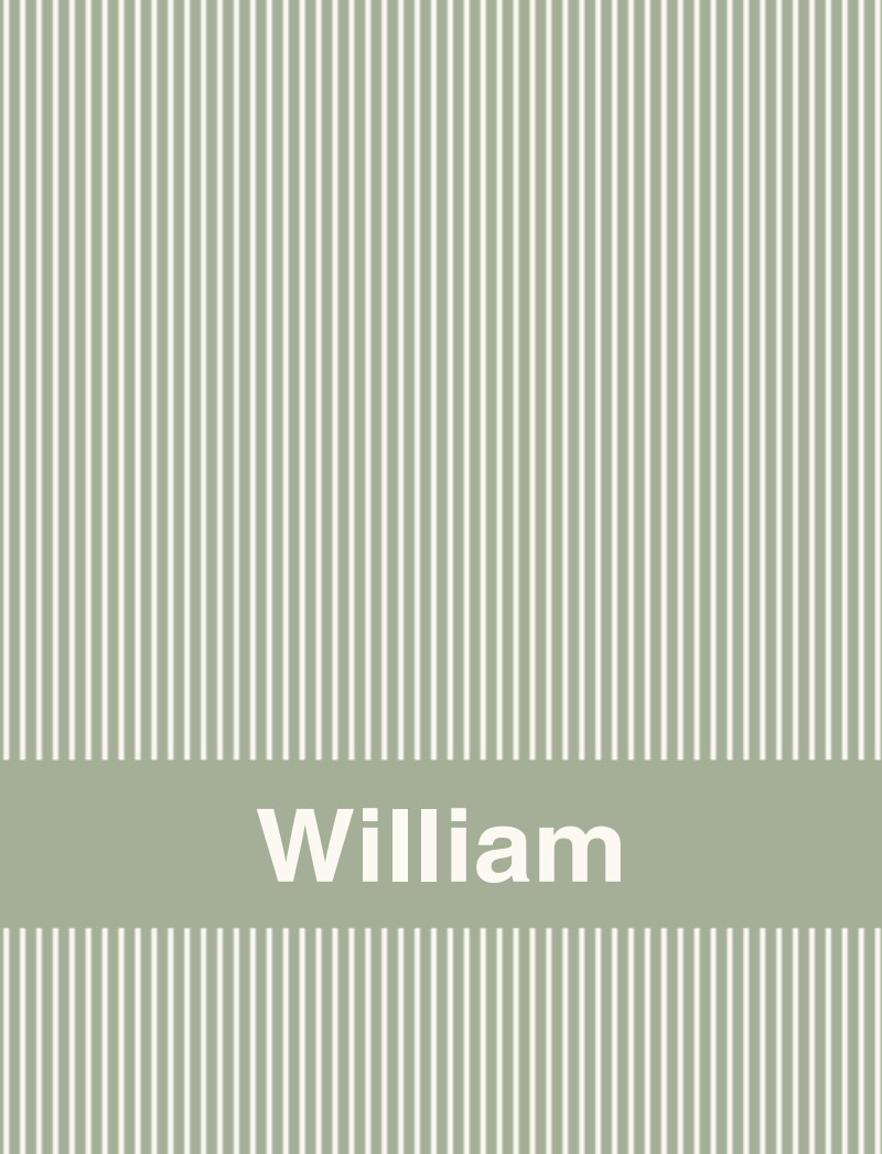 William Bassinet Blanket - Sage/Eggshell