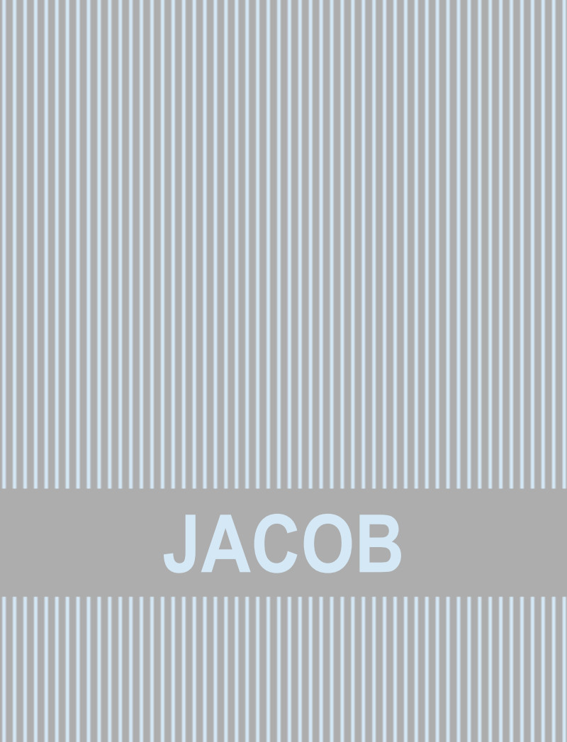 JACOB Bassinet Blanket - Pewter/Ice Blue