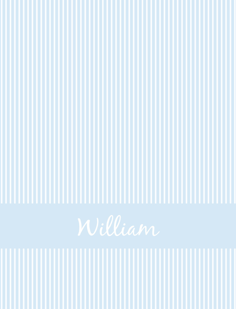 Willaim Bassinet Blanket - Ice Blue/White
