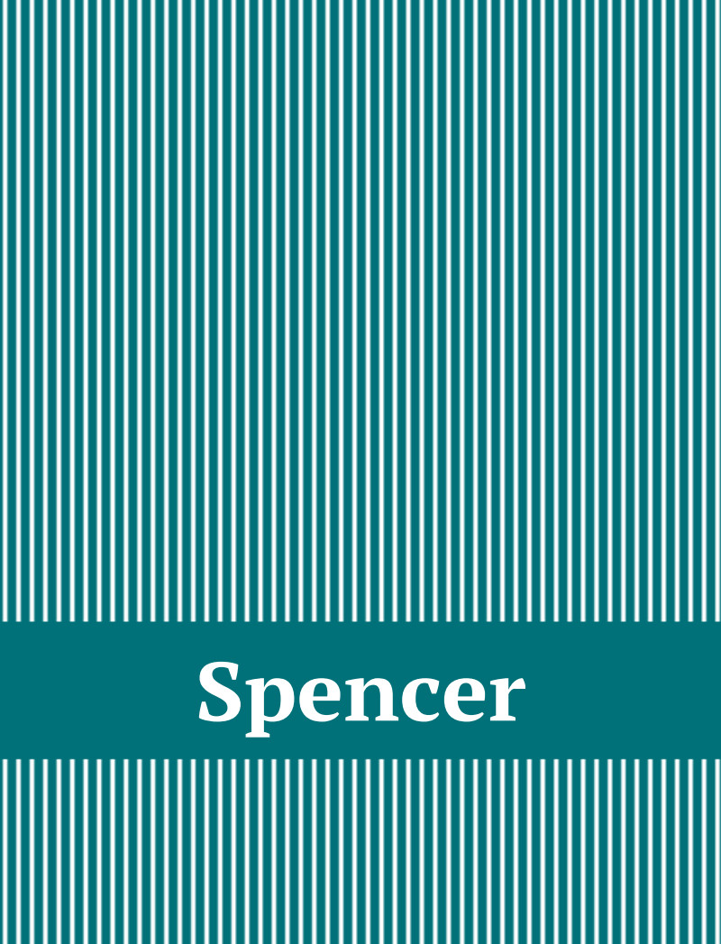 Spencer Bassinet Blanket - Teal/White Perfect Condition