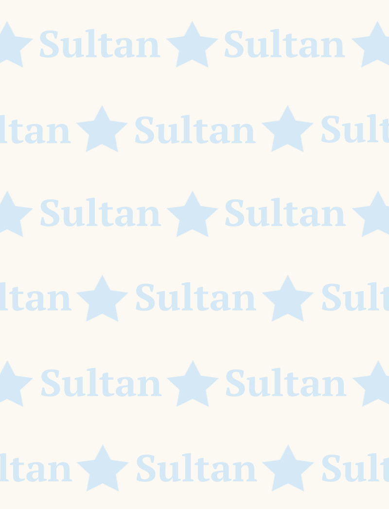 Sultan Bassinet Blanket - Eggshell/Ice-Blue Perfect Condition