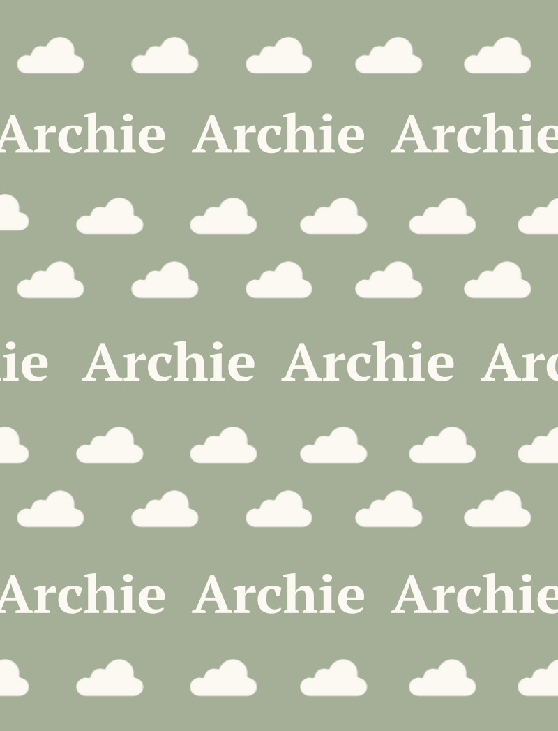 Archie Bassinet Blanket - Sage/Eggshell with Minor Defects