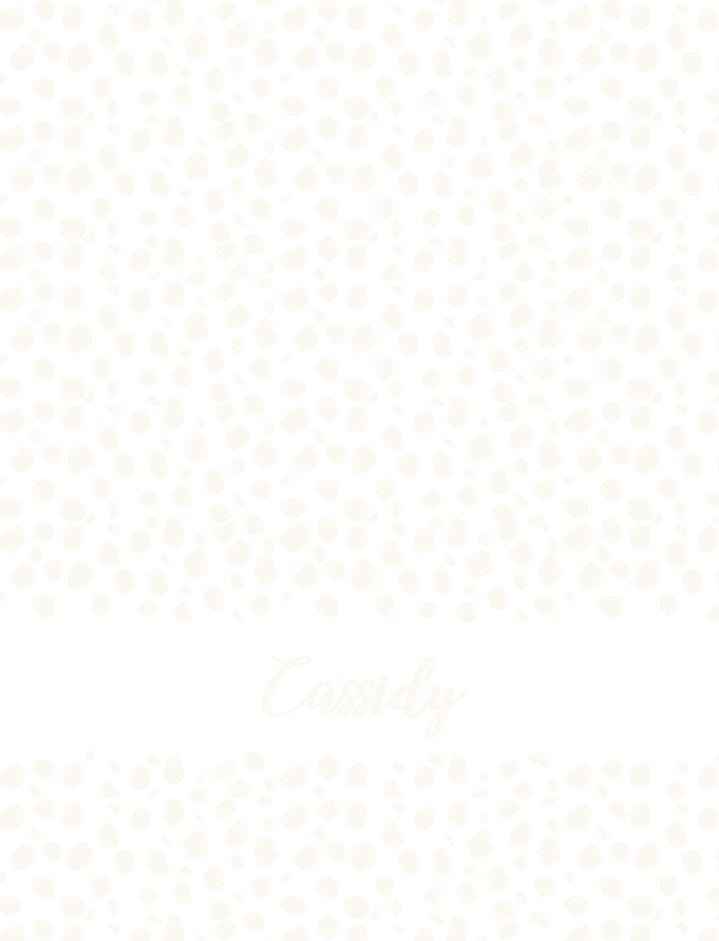 Cassidy Bassinet Blanket - White/Eggshell Perfect Condition