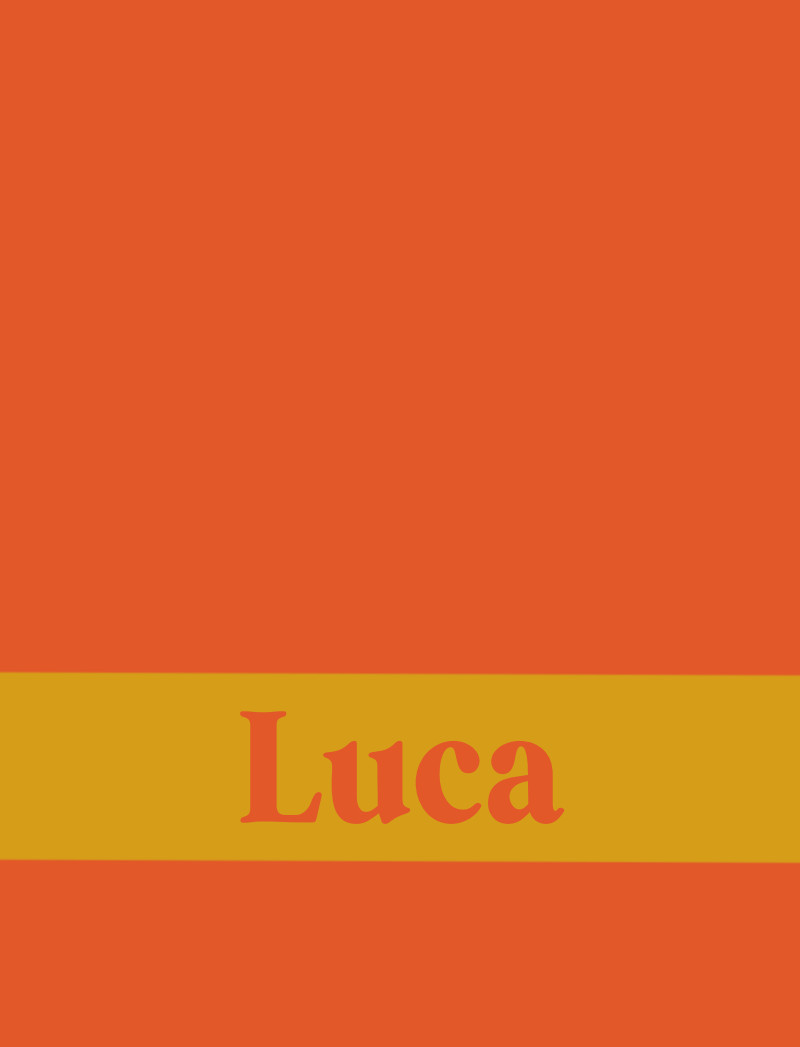 Luca Bassinet Blanket - Mustard/AmberPerfect Condition