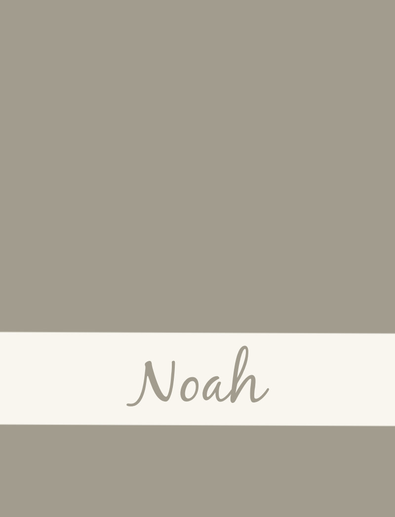 Noah Bassinet Blanket - Beige/Eggshell Perfect Condition