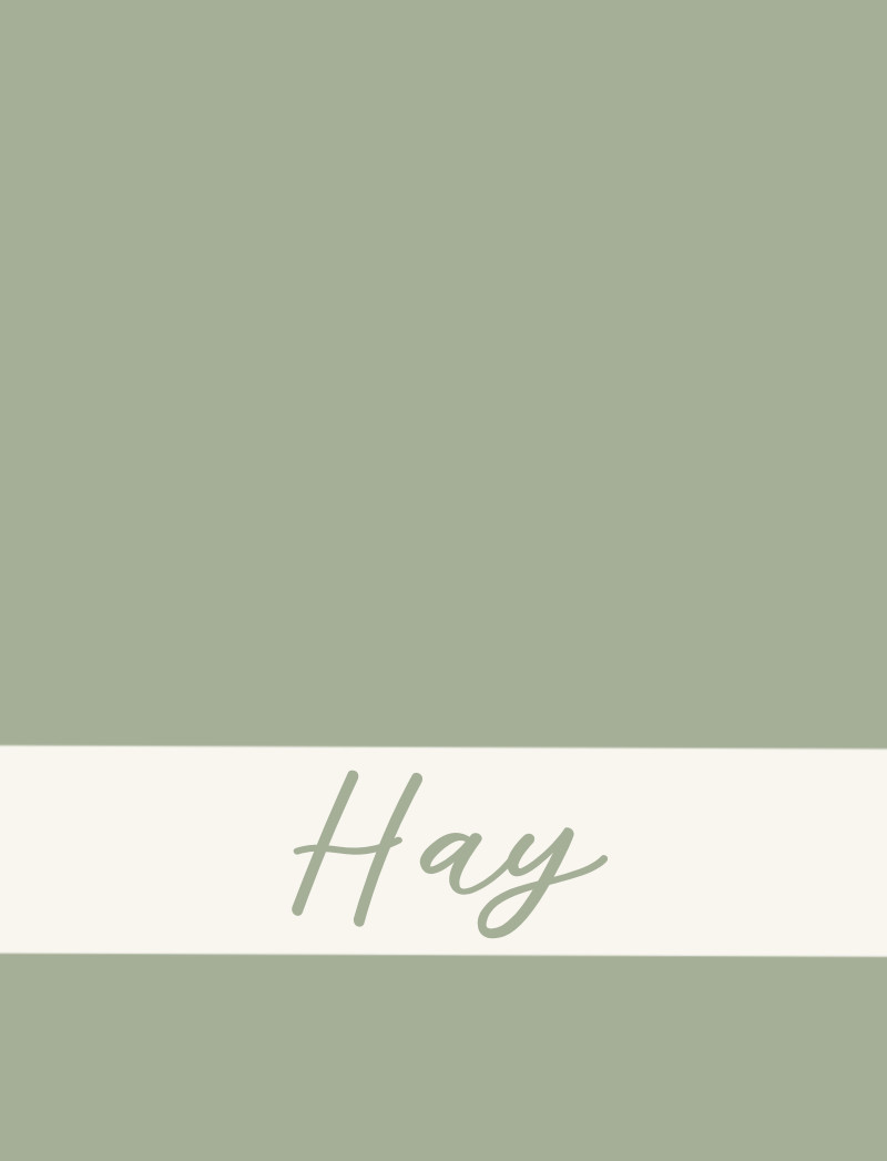 Hay Bassinet Blanket - Sage/Eggshell Perfect Condition