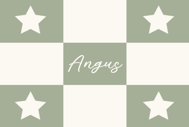 Angus Bassinet Blanket - Sage/Eggshell