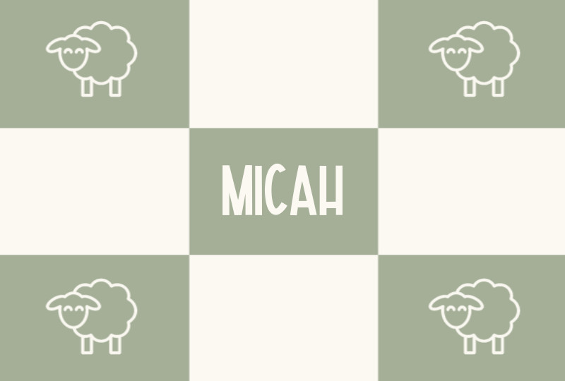 Micah Newborn Blanket - Sage/Eggshell