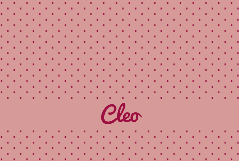 Cleo Newborn Blanket – Blush/Maroon Perfect Condition