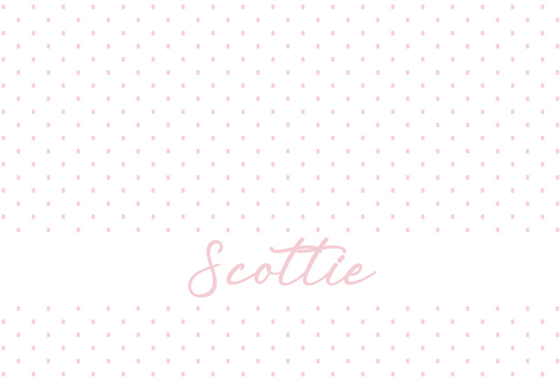 Scottie Newborn Blanket - White/Pastel Pink