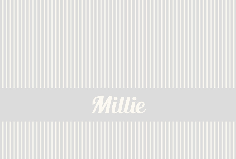 Millie Newborn Blanket - Fog/Eggshell