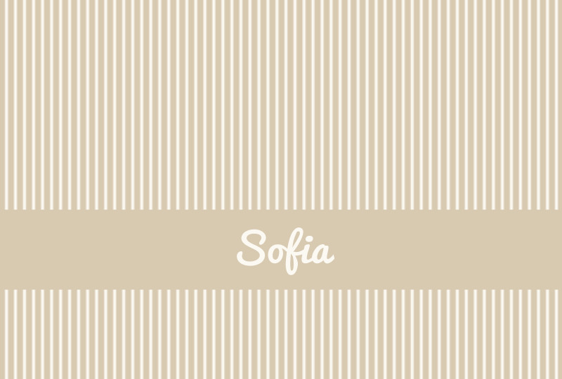 Sofia Newborn Blanket - Oat/Eggshell Perfect Condition