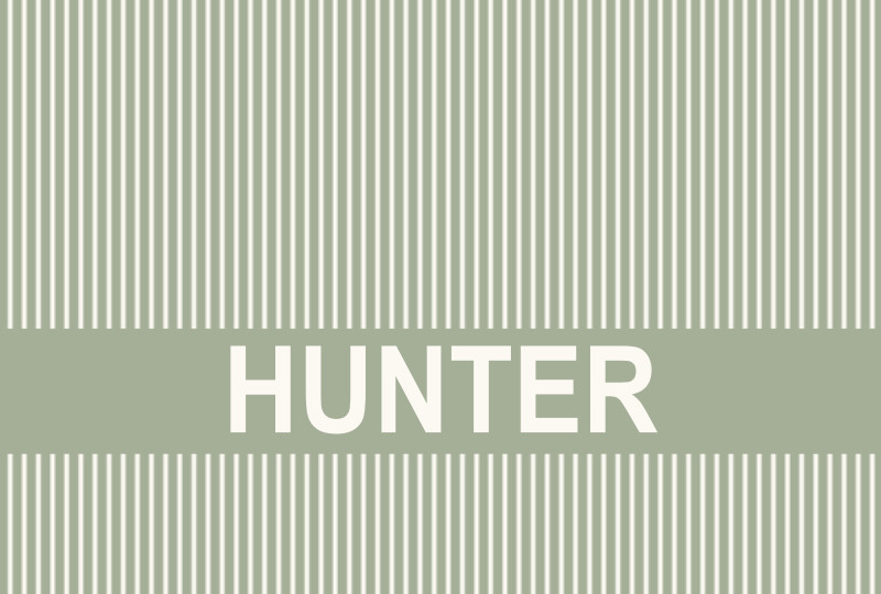 Hunter Newborn Blanket - Sage/Eggashell Perfect Condition