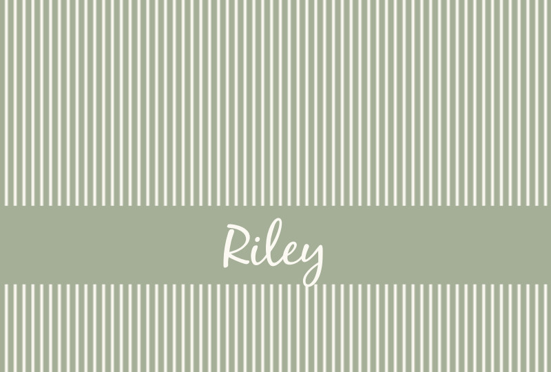 Riley Newborn Blanket - Sage/Eggshell Perfect Condition