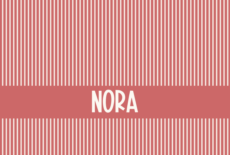Nora Newborn Blanket – Salmon/Eggshell Perfect Condition