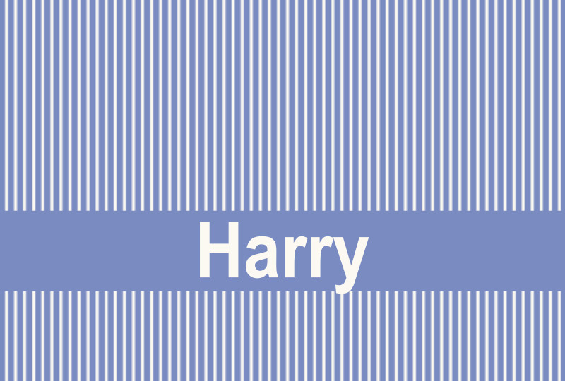 Harry Newborn Blanket – Seamist/Eggshell Perfect Condition