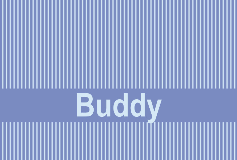 Buddy Newborn Blanket - Seamist/Ice Blue