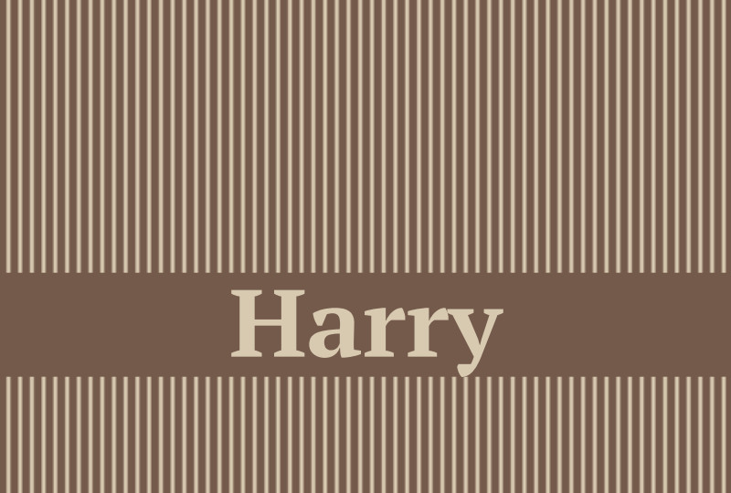 Harry Newborn Blanket - Latte/Oat Perfect Condition
