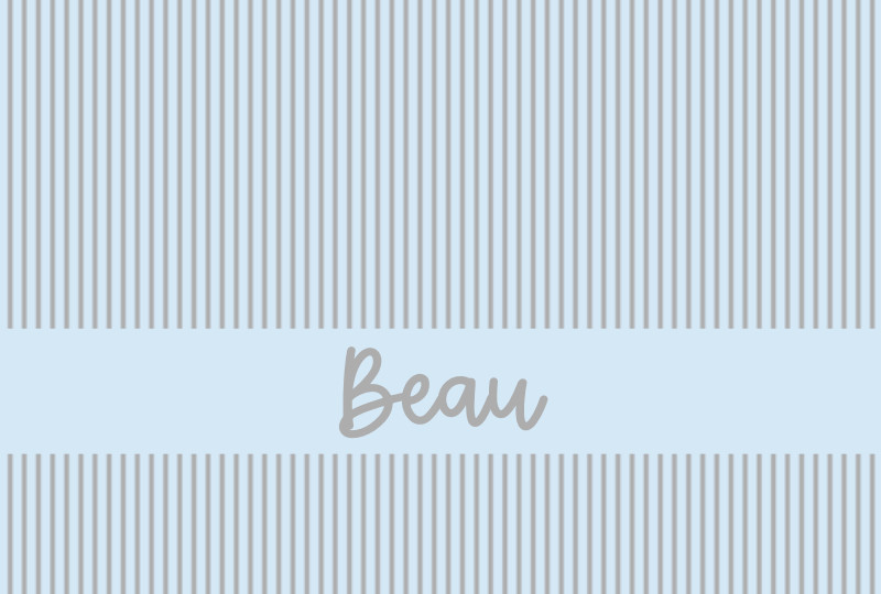 Beau Newborn Blanket - Ice-Blue/Pewter with Minor Defects