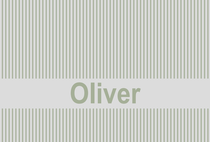 Oliver Newborn Blanket - Fog/Sage Perfect Condition