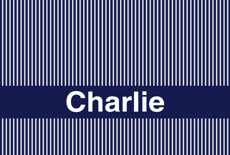 Charlie Newborn Blanket - Navy/White Perfect Condition