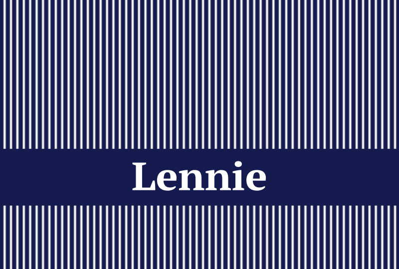 Lennie Newborn Blanket - Navy/White Perfect Condition