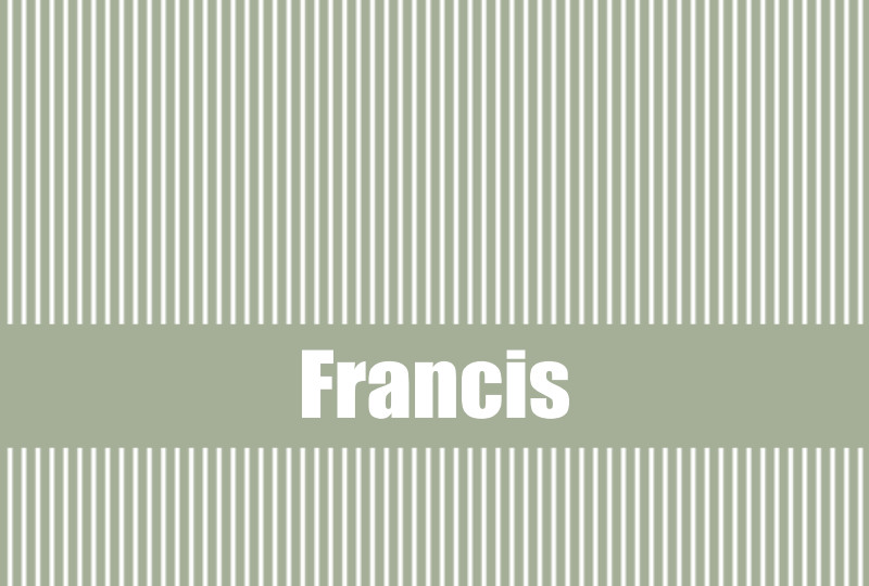 Francis Newborn Blanket - Sage/White