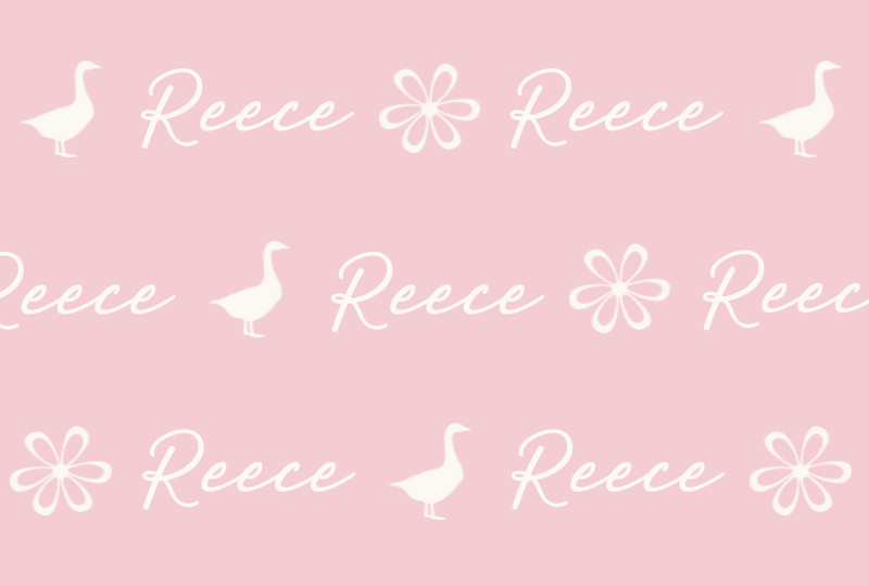 Reece Newborn Blanket - Pastel-Pink/Eggshell with Minor Defects