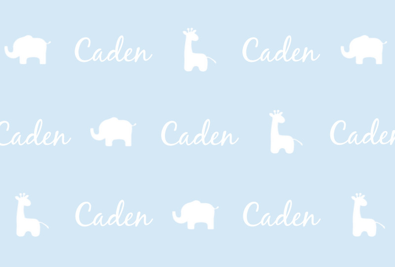 Caden Newborn Blanket - Ice-Blue/White