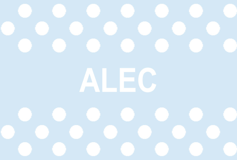 Alec Newborn Blanket - Ice-Blue/White Perfect Condition