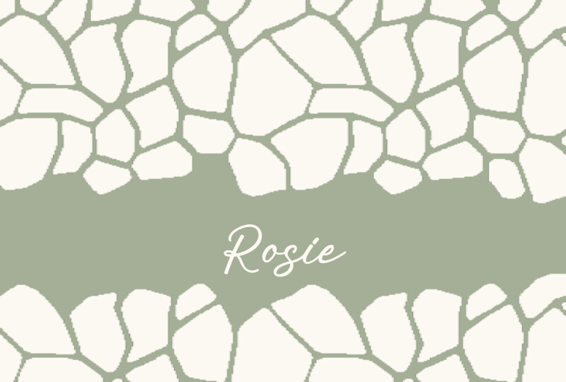 Rosie Newborn Blanket - Sage/Eggshell