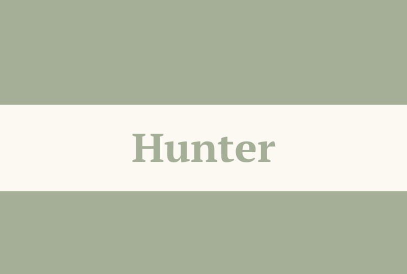 Hunter Newborn Blanket - Sage/Eggshell