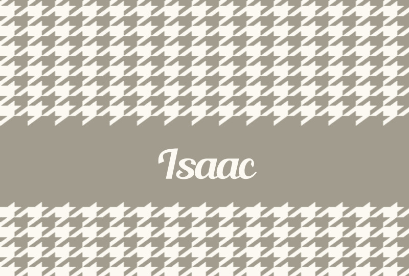 Isaac Newborn Blanket - Beige/Eggshell Perfect Condition