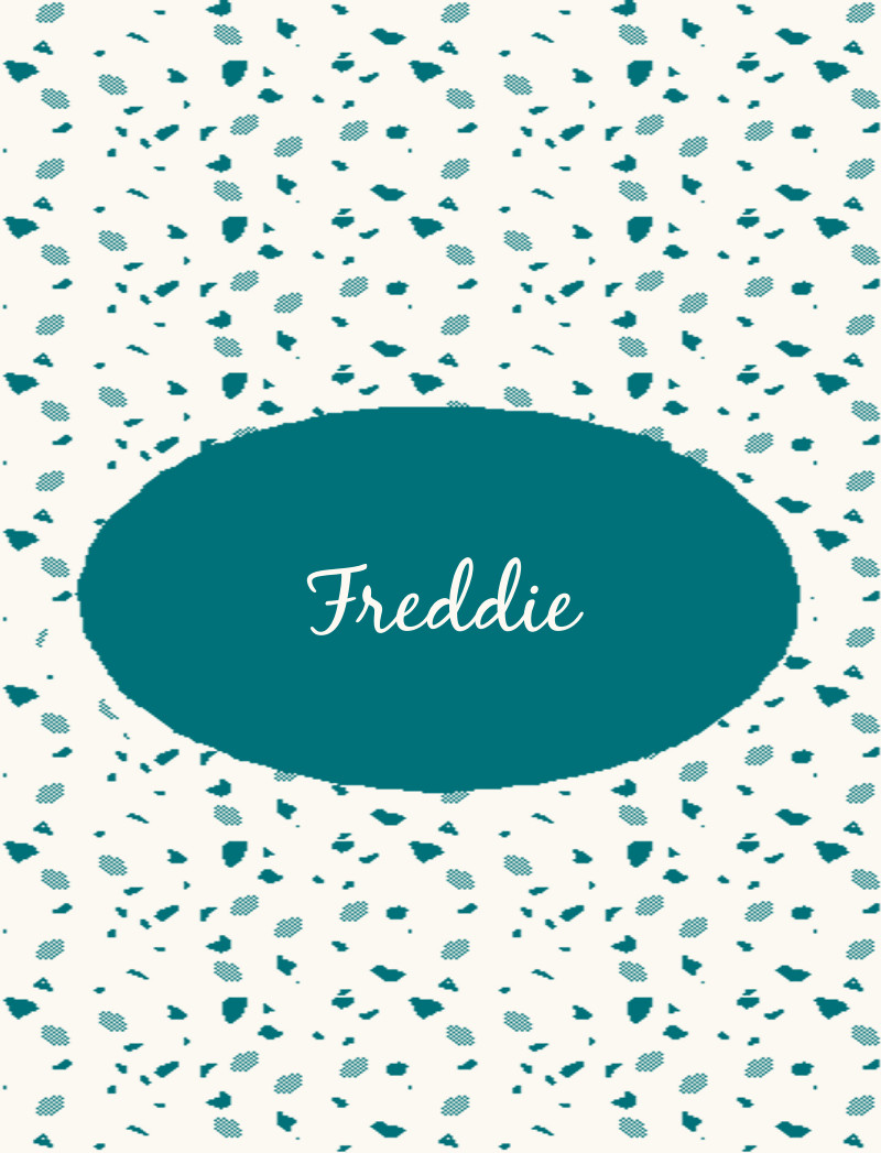 Freddie Bassinet Blanket - Teal/Eggshell Perfect Condition