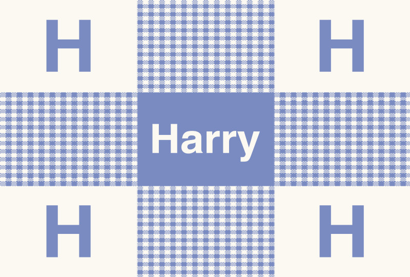 Harry Newborn Blanket - Eggshell/Seamist Perfect Condition