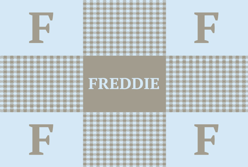 Freddie Newborn Blanket - Beige/Ice-Blue Perfect Condition