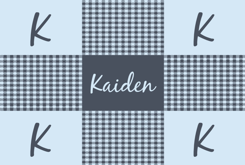 Kaiden Bassinet Blanket – Steel/Ice-Blue Perfect Condition