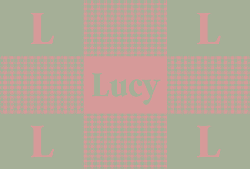 Lucy Newborn Blanket – Blush/Sage Perfect Condition