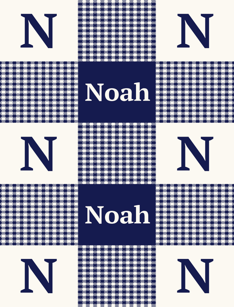 Noah Bassinet Blanket - Navy/Eggshell Perfect Condition