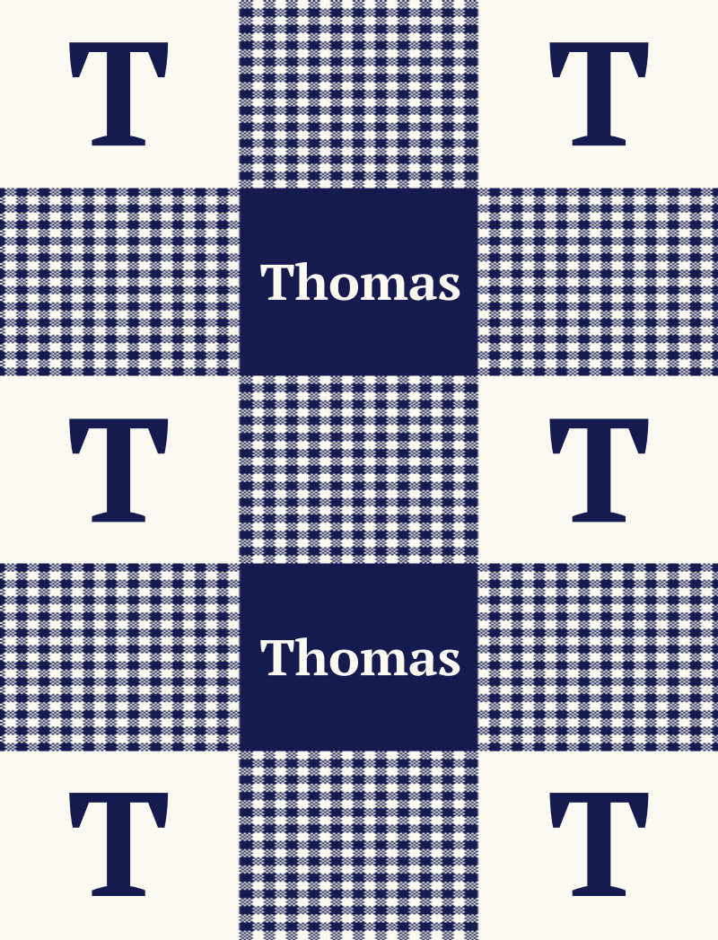 Thomas Bassinet Blanket - Navy/Eggshell Perfect Condition