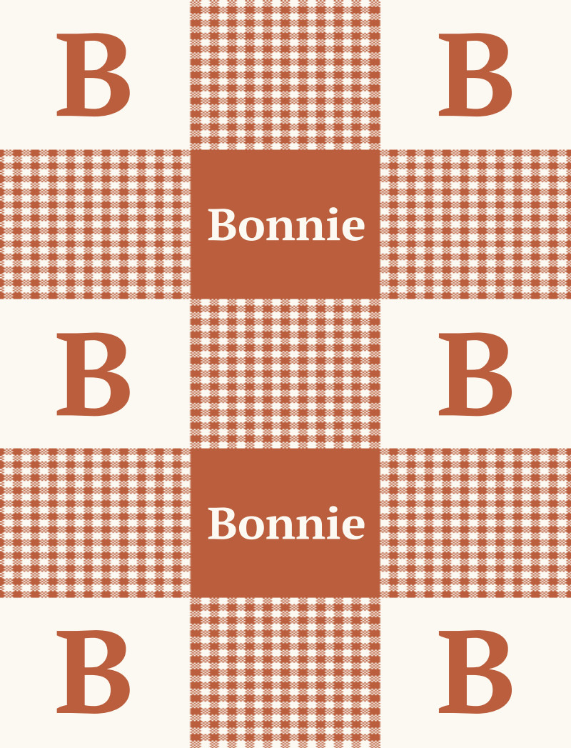 Bonnie Bassinet Blanket - Rust/Eggshell Perfect Condition